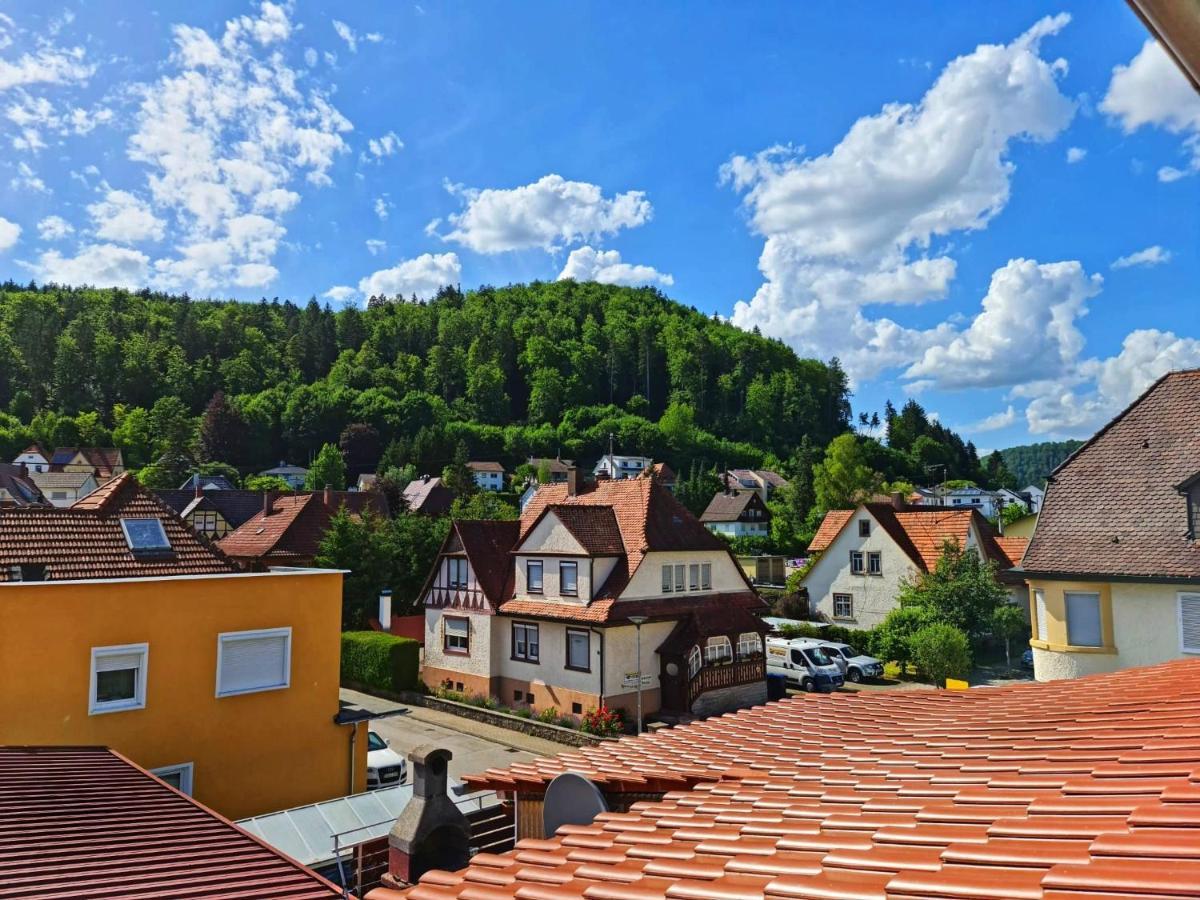 Pension Transilvania Immendingen ภายนอก รูปภาพ