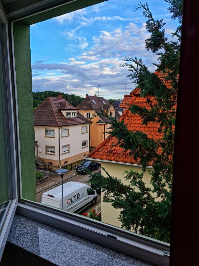 Pension Transilvania Immendingen ภายนอก รูปภาพ