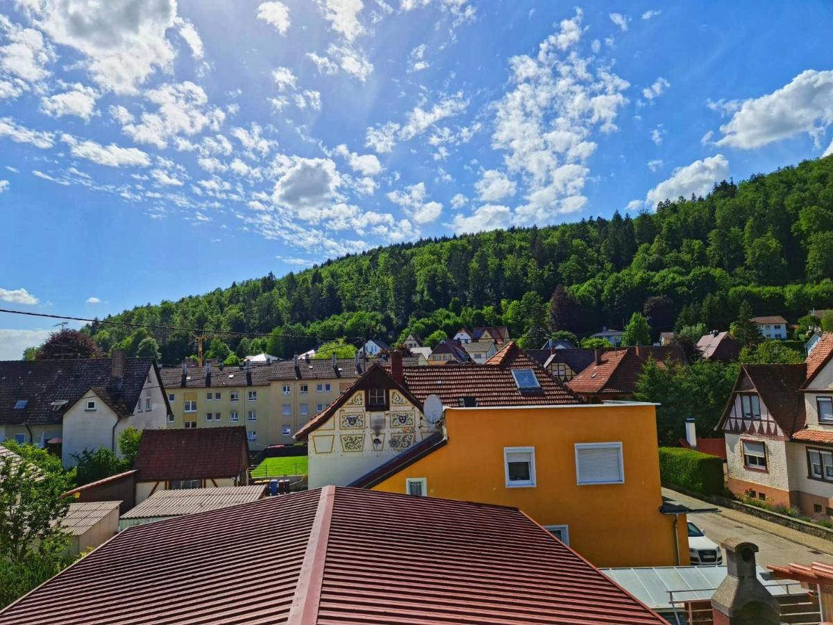 Pension Transilvania Immendingen ภายนอก รูปภาพ