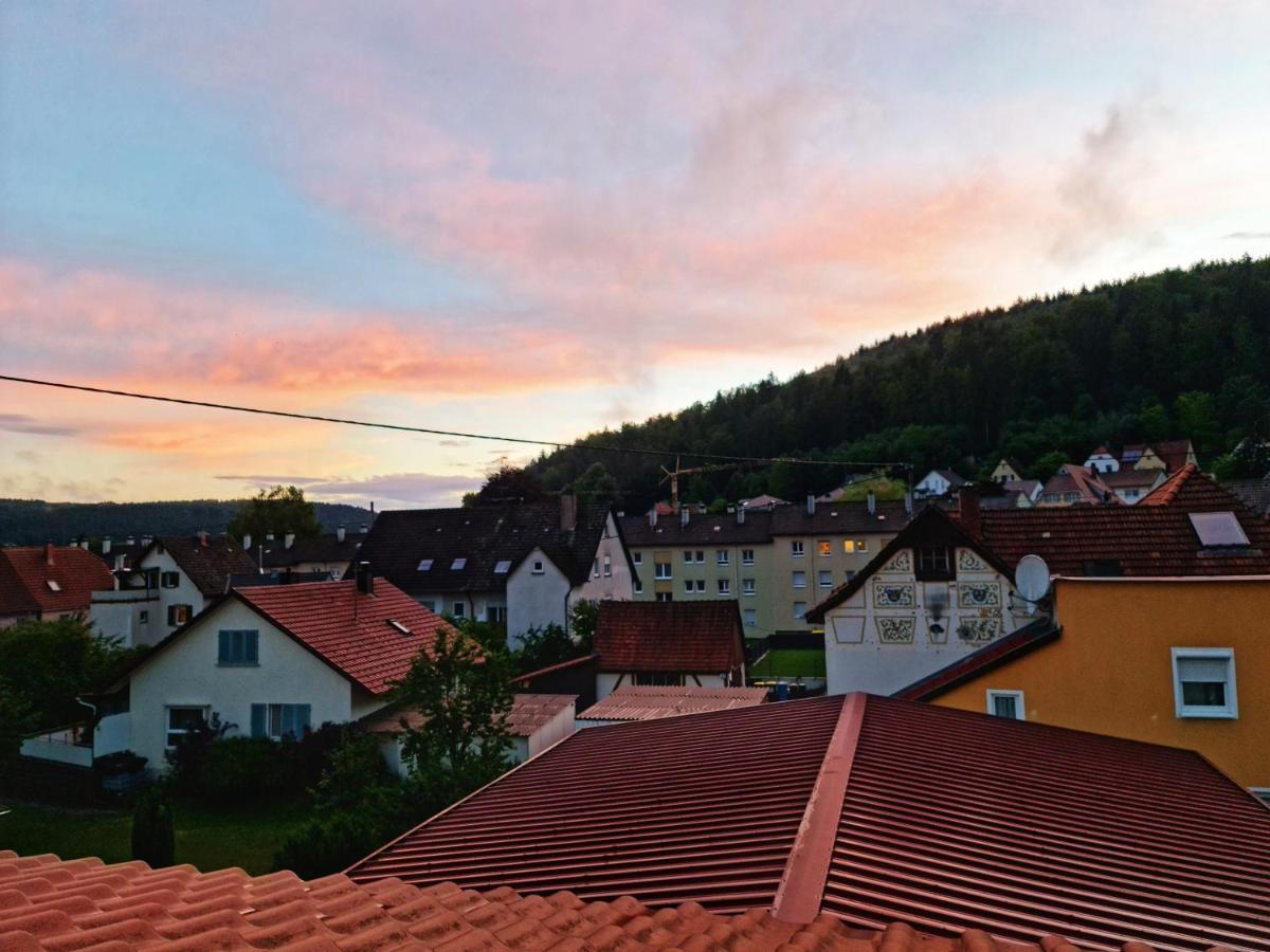 Pension Transilvania Immendingen ภายนอก รูปภาพ